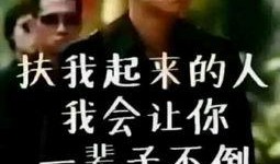 贼王最新爆料视频大全,揭秘犯罪世界幕后真相