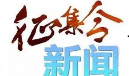 吉林爆料新闻,揭开背后惊人真相