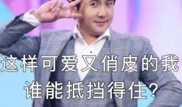 沈腾爆料王彦霖视频事件,真相背后引热议
