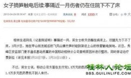 怎样给新闻网爆料,如何高效提供新闻线索