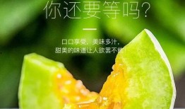 一起吃网红瓜,一场舌尖上的社交狂欢