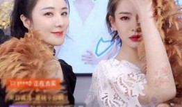 姐妹快播在线观看,揭秘热门在线观看现象背后的故事