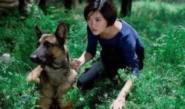 神犬奇兵电视剧在线观看,忠诚守护，热血征途，战犬传奇再现荧屏