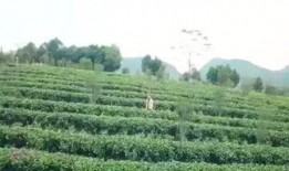 渔乐圈最新爆料消息今天,今日热点事件深度解析