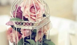 花鸟笼在线观看影片,穿越时空的美丽邂逅