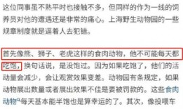长沙事件爆料视频播放时间,揭秘视频播放时间背后的惊人真相