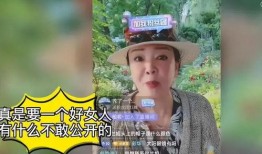 记者爆料张颖颖视频,记者爆料背后的真相与争议