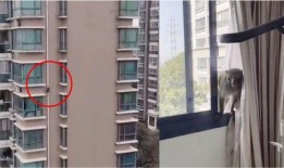 爆料江苏小区业主视频,揭露惊人真相！