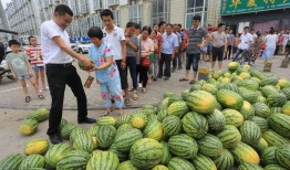 郑州新瓜最新爆料,揭秘郑州最新热点事件背后的真相