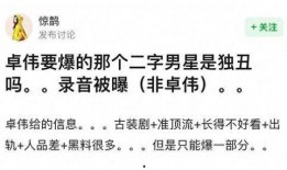 卓伟爆料成毅录音视频在线观看,成毅录音视频在线观看，揭秘娱乐圈幕后真相