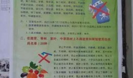 新闻爆料搞笑视频大全免费,免费观看欢乐无限