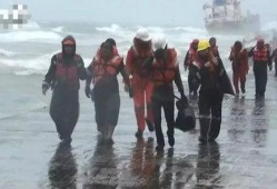 海员真实爆料视频大全下载,视频大全背后的感人故事