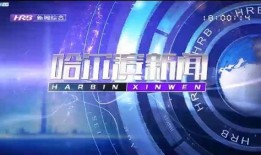 哈尔滨情况爆料新闻视频,新闻视频揭秘城市热点事件