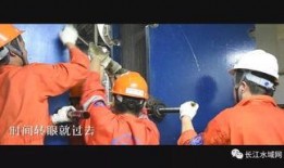 海员真实爆料视频大全下载,视频大全背后的感人故事