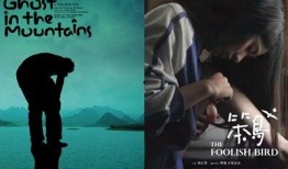 电影笨鸟在线观看,追逐梦想的励志之旅