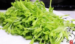 潮汕小豆苗爆料视频,揭秘潮汕美食背后的故事