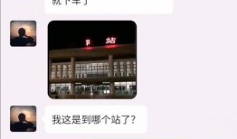 沙雕视频爆料网站下载大全,海量搞笑资源一网打尽