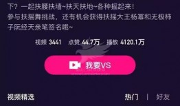 红花视频爆料者怎么赚钱,揭秘他们的赚钱之道