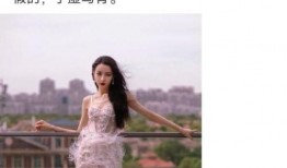 大瓜爆料鹿晗视频大全最新,大瓜爆料背后的精彩瞬间