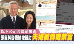 湖南前妻爆料新闻事件,揭示婚姻背后的惊人真相