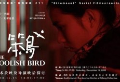 电影笨鸟在线观看,追逐梦想的励志之旅