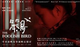 电影笨鸟在线观看,追逐梦想的励志之旅