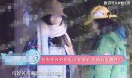 恋爱兄妹爆料新闻视频,揭秘娱乐圈甜蜜背后的真相