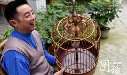 花鸟笼在线观看影片,穿越时空的美丽邂逅