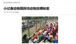 大连爆料新闻最新消息,揭秘重大事件背后真相