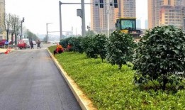 南充春江路最新爆料,最新爆料揭秘未来繁华景象