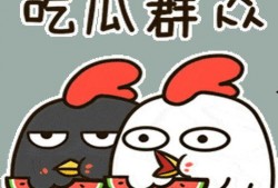 娱乐吃瓜小兔兔微博,揭秘娱乐圈那些吃瓜趣事