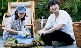 向往4最新爆料完整版,揭秘节目幕后精彩瞬间与感人故事