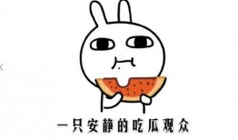 娱乐吃瓜酱相处方式