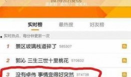 卓伟爆料林依晨视频播放,卓伟独家爆料引发热议