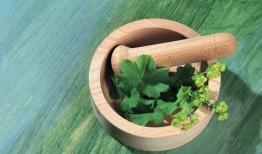 青菜爆料视频大全下载安装,揭秘幕后故事，带你领略精彩瞬间