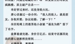 穿书吃瓜日记免费阅读,穿越时空的甜蜜瓜田之旅