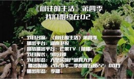 向往4最新爆料完整版,揭秘节目幕后精彩瞬间与感人故事