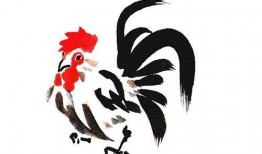 属鸡的女人在线观看,在线观看揭秘
