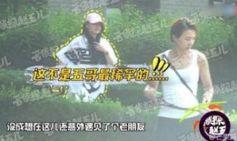女皇爆料视频大全集免费观看,独家揭秘，免费观看，一网打尽