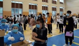 文安何小姐最新爆料消息,揭秘事件背后惊人真相