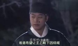 王与我在线观看,一场跨越时空的浪漫邂逅