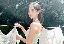 网红吸脂爆料视频大全,视频大全深度解析