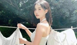 网红吸脂爆料视频大全,视频大全深度解析