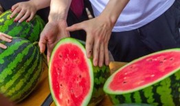 福利免费吃瓜,免费吃瓜盛宴，畅享夏日清凉！