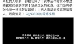 小助理最新爆料视频,精彩瞬间一网打尽！