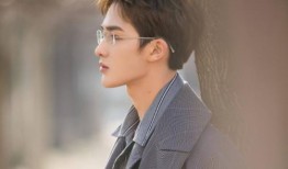 最新爆料白鹿行程,忙碌日程揭秘