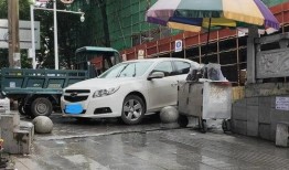 龙山县最近爆料新闻,最新爆料揭示惊人真相