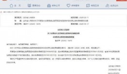 山东趣事新闻爆料网址,揭秘网络爆料中的地方特色新闻