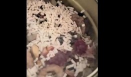 小贝爆料的藕粉视频,藕粉背后的神奇功效与制作过程