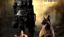 神犬奇兵电视剧在线观看,忠诚守护，热血征途，战犬传奇再现荧屏